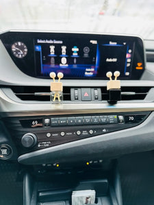 Luxury Car Clear Glass Diffuser with Reeds